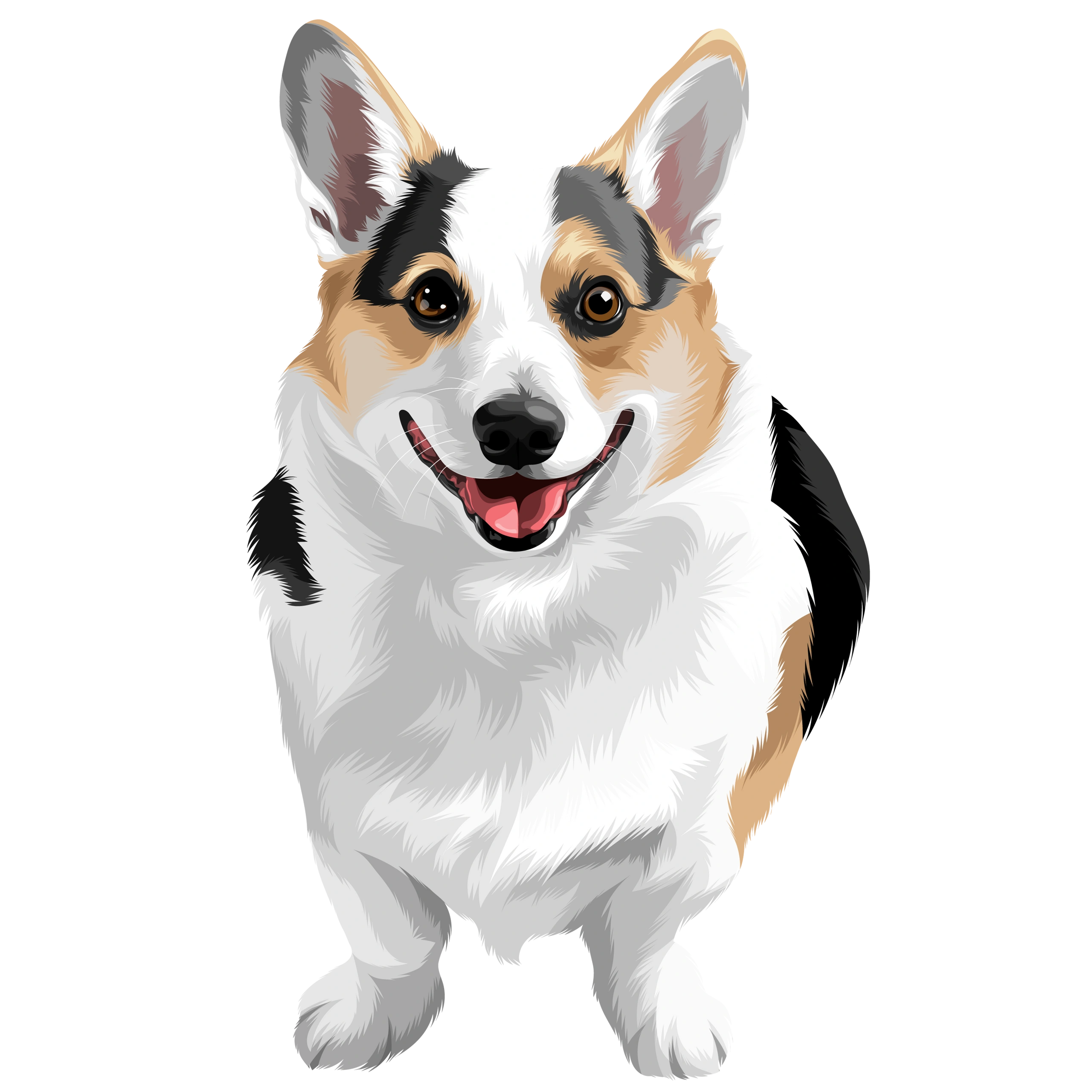 Dogs, Dog Blog and Clothing